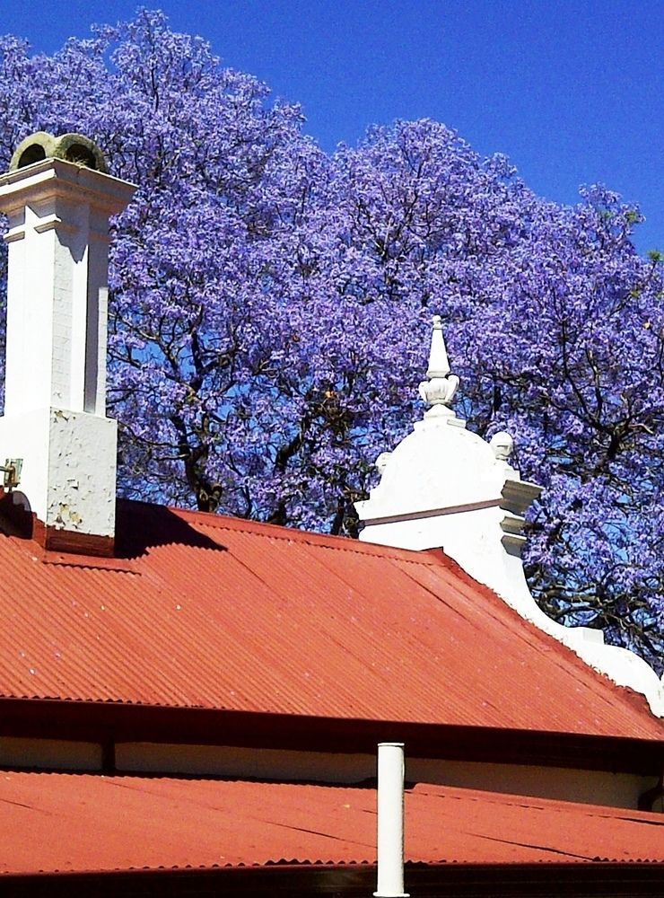 Melvin Residence Guest House Pretoria Bagian luar foto
